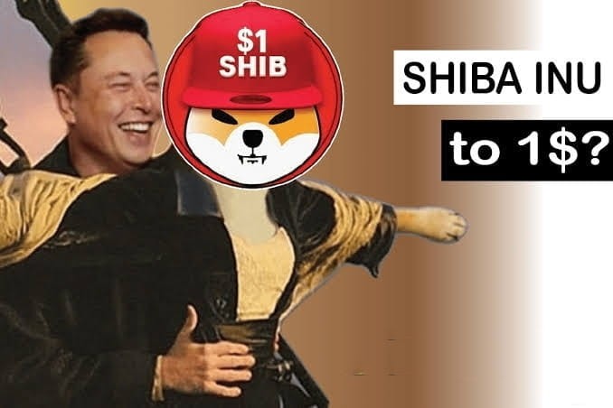 SHIBAINUCOINCANITREACH1