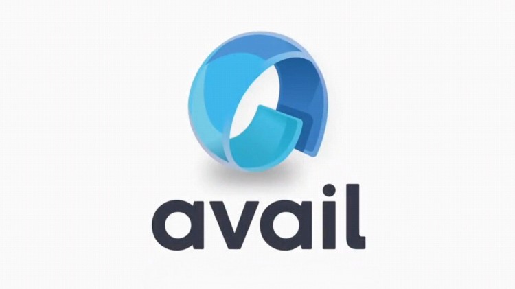 Avail 项目对区块链技术的重要性