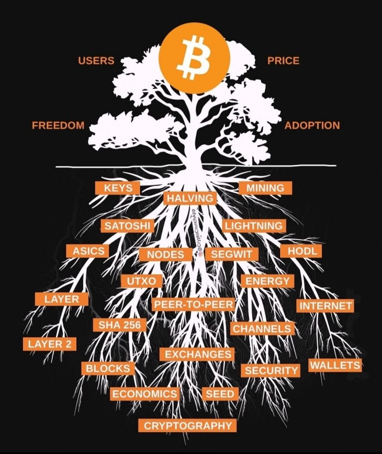 ARKREFLECTIONSBITCOINSIMPACT