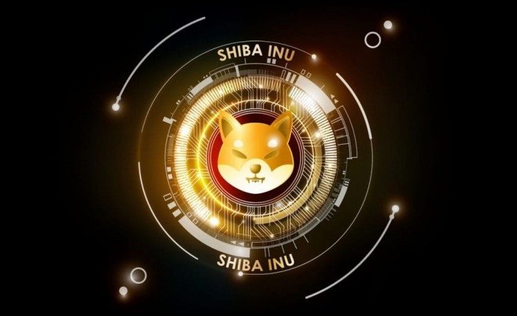 投资者将 Shiba Inu 和 Borroe Finance 视为有前景的加密货币