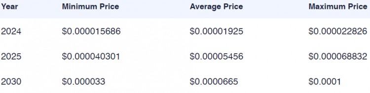 WHATWOULDA1000SHIBINVESTMENTEARNIN2025