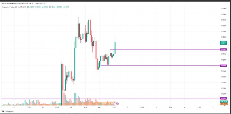 DOGE3月1日价格分析