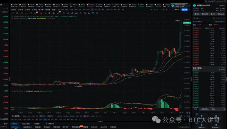 2024年真正的100倍币只有这6种