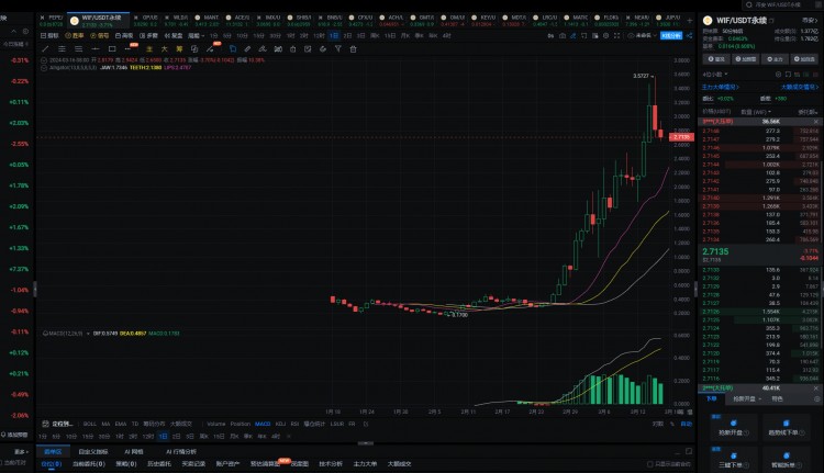 2024年真正的100倍币只有这6种