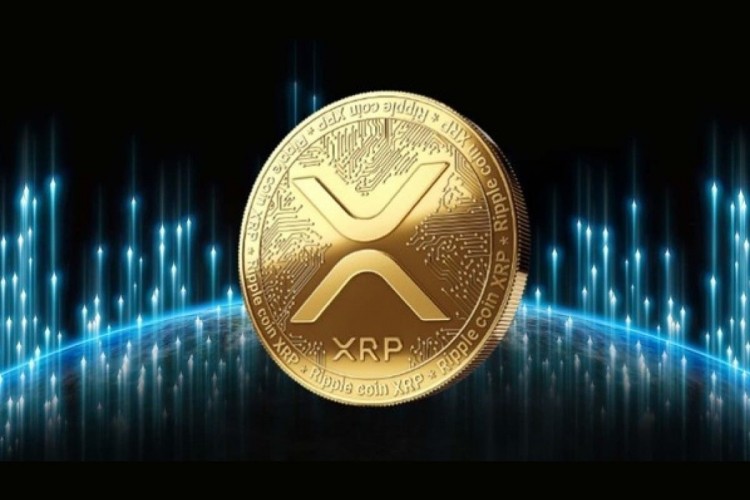 XRP价格接近05美元水平巨鲸转移8700万枚代币下一步是什么