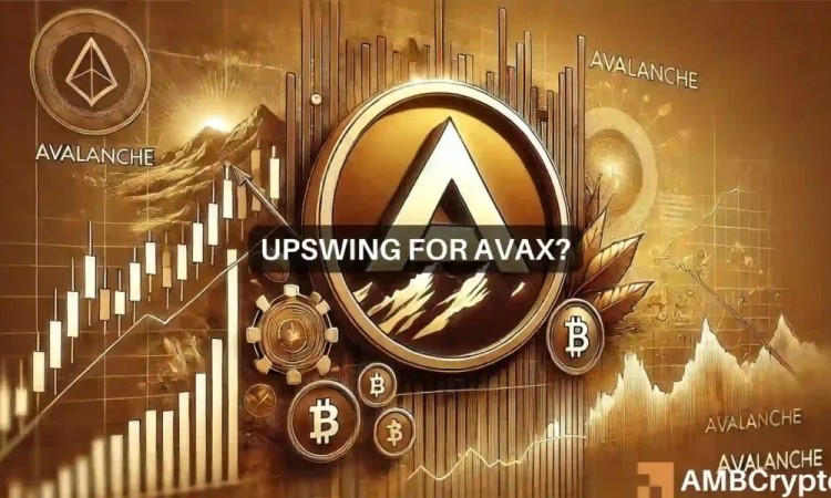 AVAX能在7月跃升至30美元吗交易者需求的上升表明可以