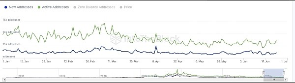 为什么ADA的价格今日上涨