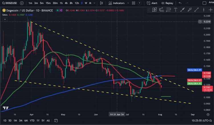 看到 DOGE 价格的急剧下跌